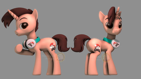 Kidney Pony Commission Model
